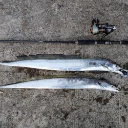 タチウオジギング