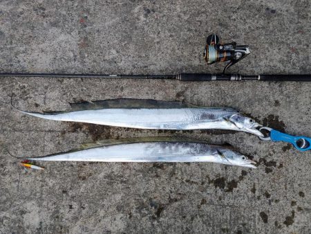 タチウオジギング