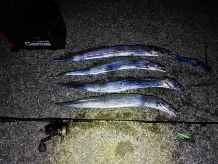 太刀魚ワインド