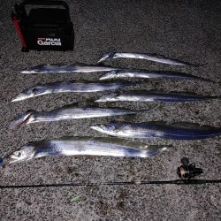 タチウオジギング