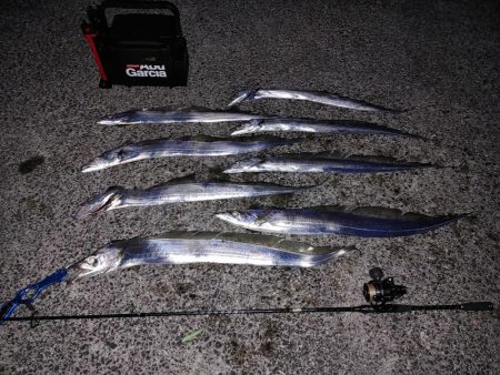 タチウオジギング