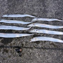 タチウオジギング＆ワインド