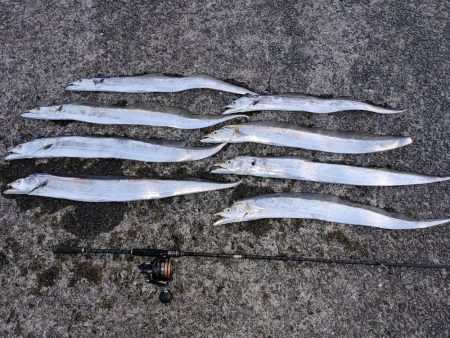 タチウオジギング＆ワインド