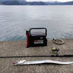 太刀魚ジギング