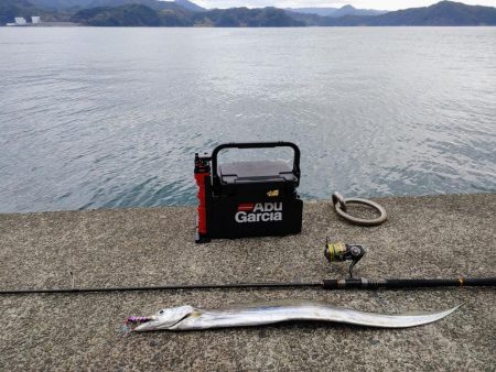 太刀魚ジギング