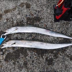 太刀魚ジギング