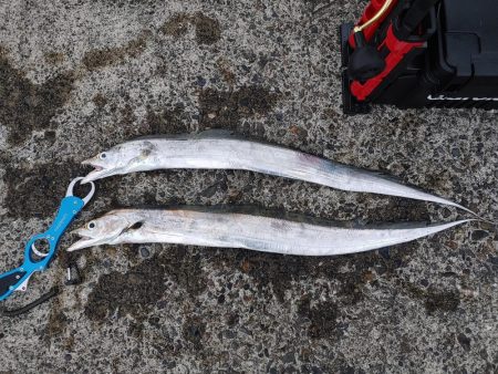 太刀魚ジギング