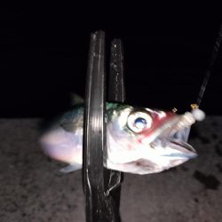 あたりが小さい