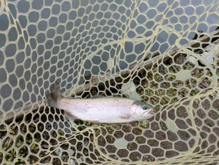 やっぱり渋かった！