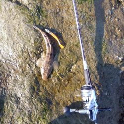 真冬のフラット狙い…なのに…