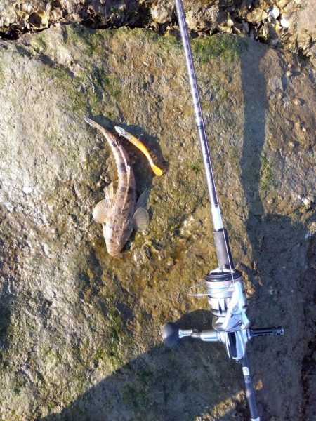 真冬のフラット狙い…なのに…