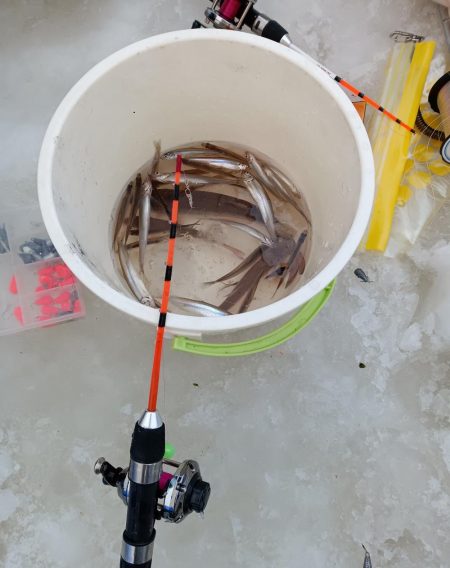 茨戸川付近でのワカサギ釣り！！