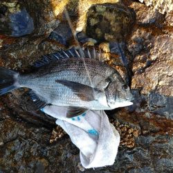 フカセ‥最高ですネ・・風強・・