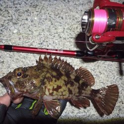 2023/02/16 南港ライトゲーム釣行