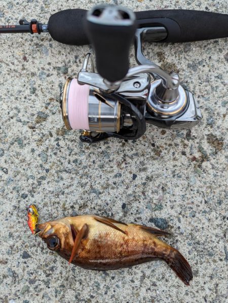 デイメバリング