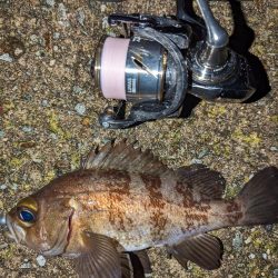 ナイトメバリング