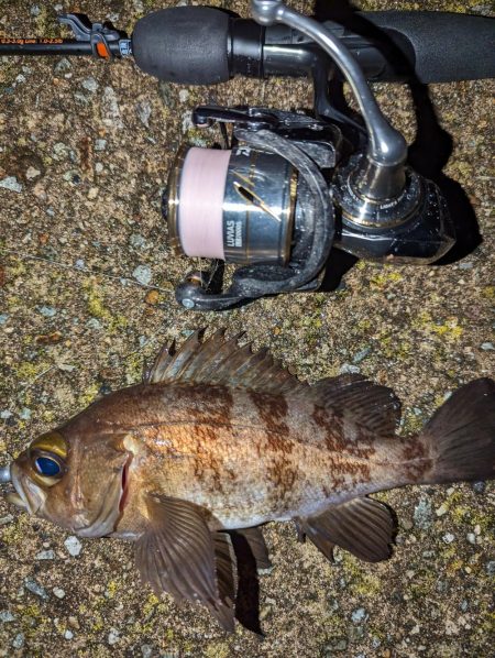 ナイトメバリング