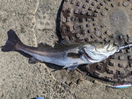 ランカーゲット!