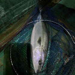 串本カセ　リベンジマッチ