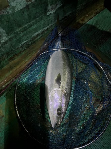 串本カセ　リベンジマッチ