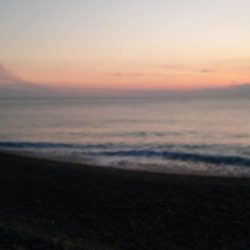 今年2本目、3本目