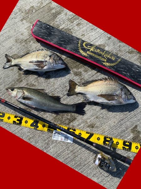 ベタ凪の暖かい日