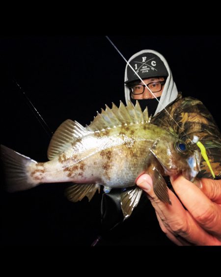 大阪湾メバリング！