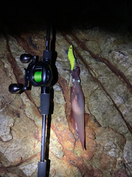 ヤリイカ厳しいけどなんとか１杯