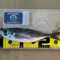 楽しいアジング