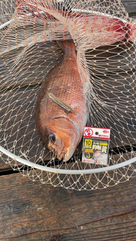 イベント開催しました♪
