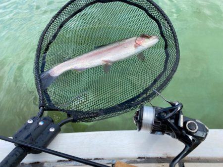 京都府亀岡市　エリアトラウト