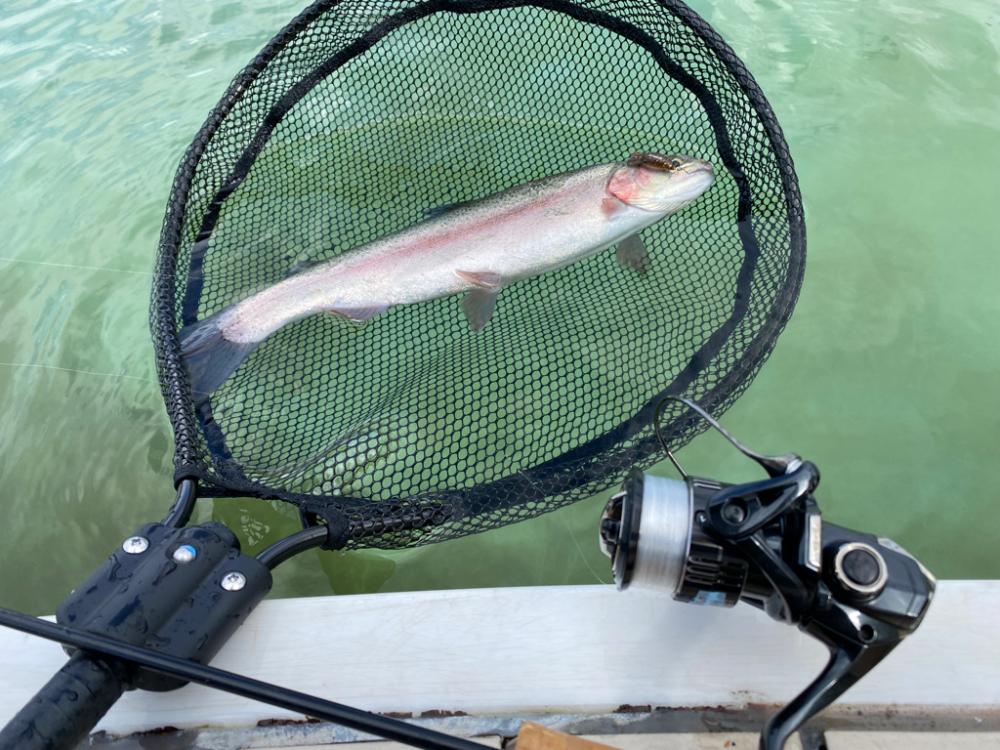 京都府亀岡市　エリアトラウト