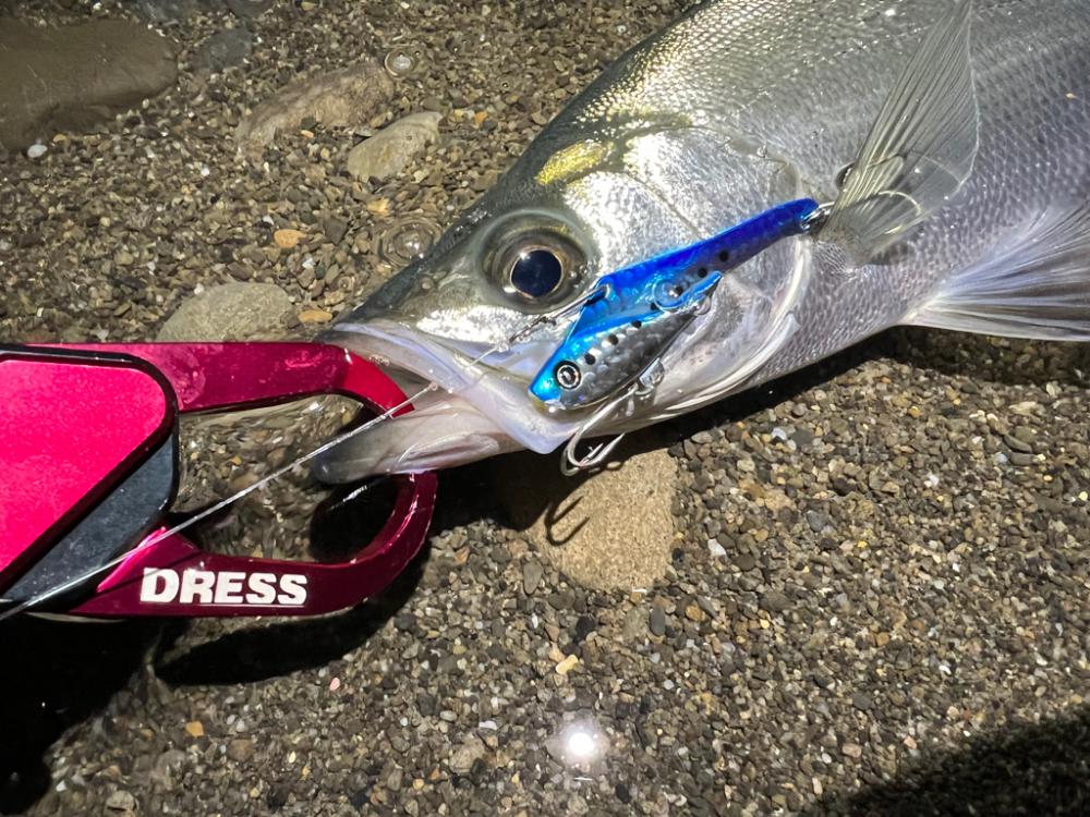 シーバスを探して三千里 Vel.1