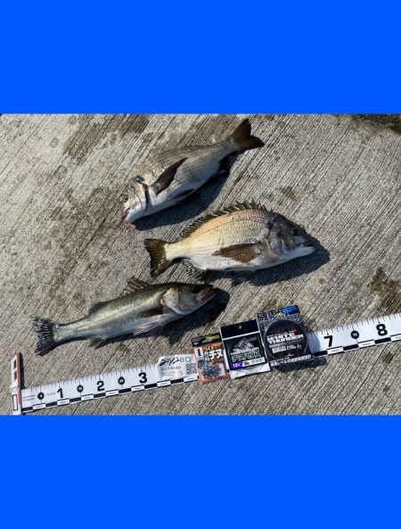 風も無くベタ凪の暖かい日