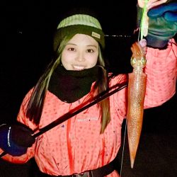 オールナイトヤリイカ