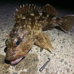 自作ワームでガシリング