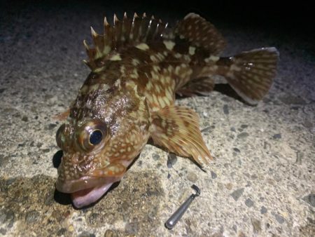 自作ワームでガシリング