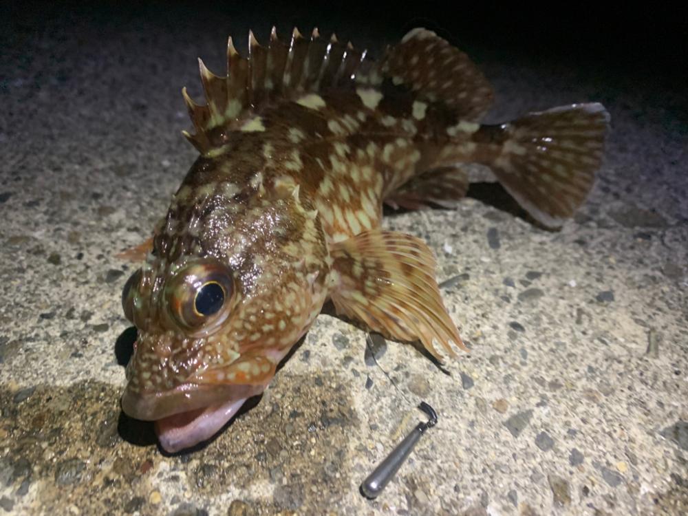 自作ワームでガシリング