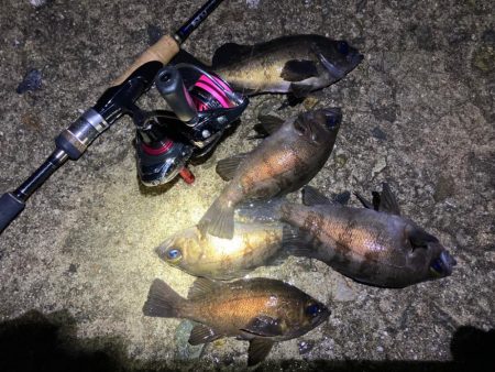 アフター回復傾向