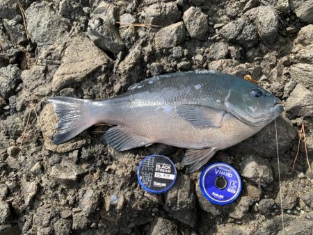 爆風、激流攻略