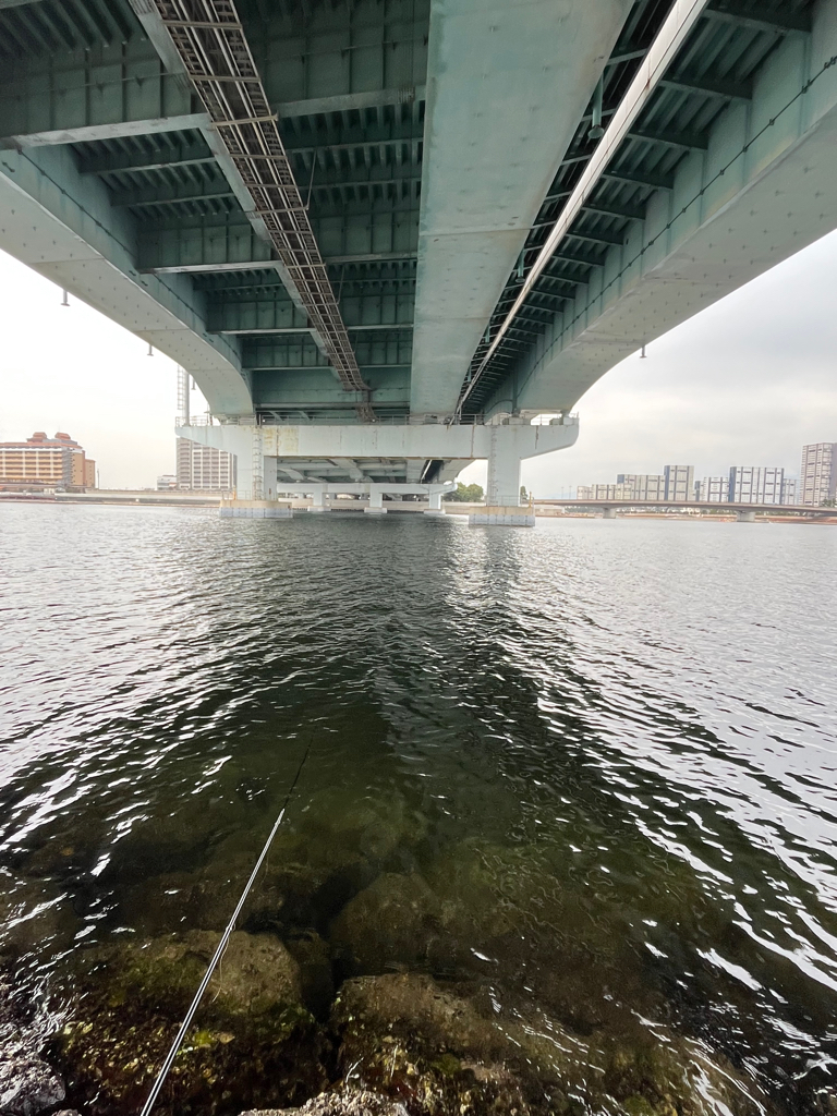 遠矢ウキサイコー