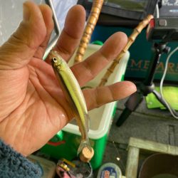 ワカサギ釣り