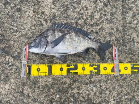 時折小雨が降り