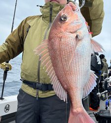 渋い中なんとか