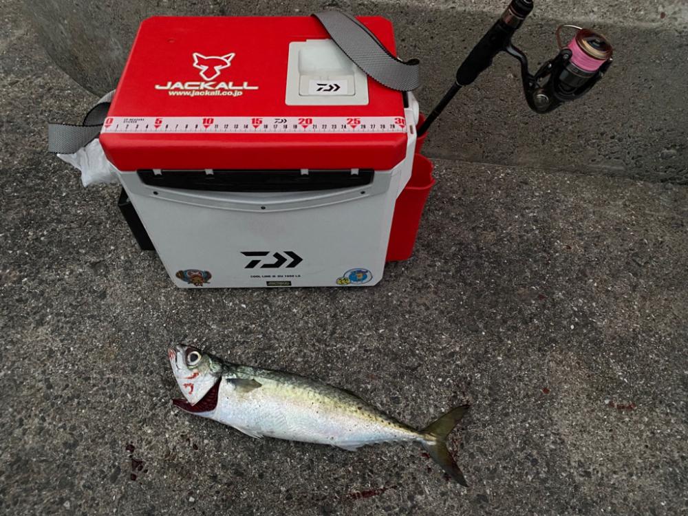 淡路島ライトゲーム