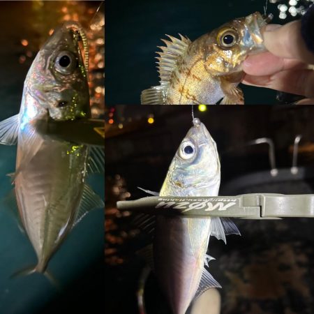 ボートアジング