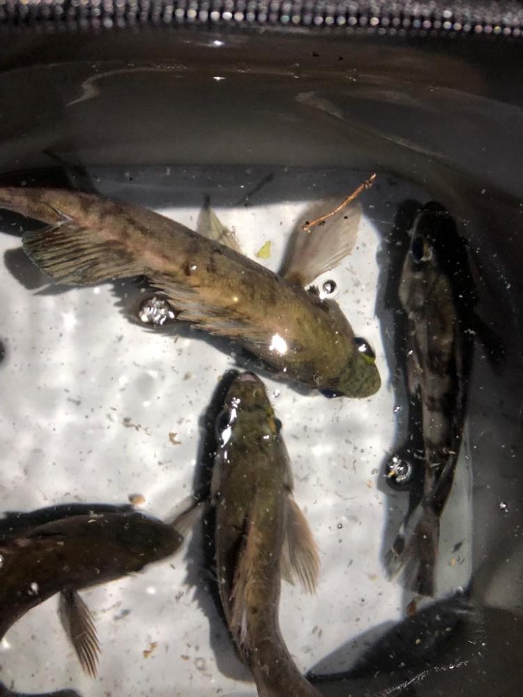 久々の友人との釣行