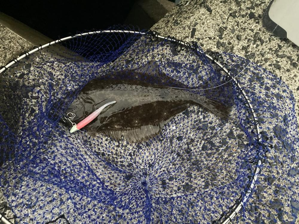 朝からワインド