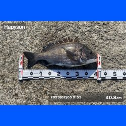 朝方は潮が低く