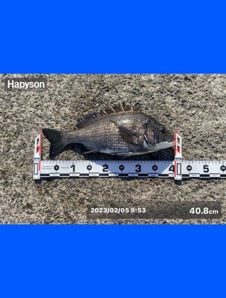 朝方は潮が低く